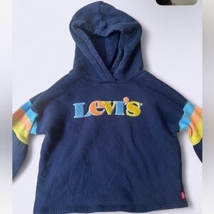 Levi's Kids Hoodie with Multicolor Sleeves
